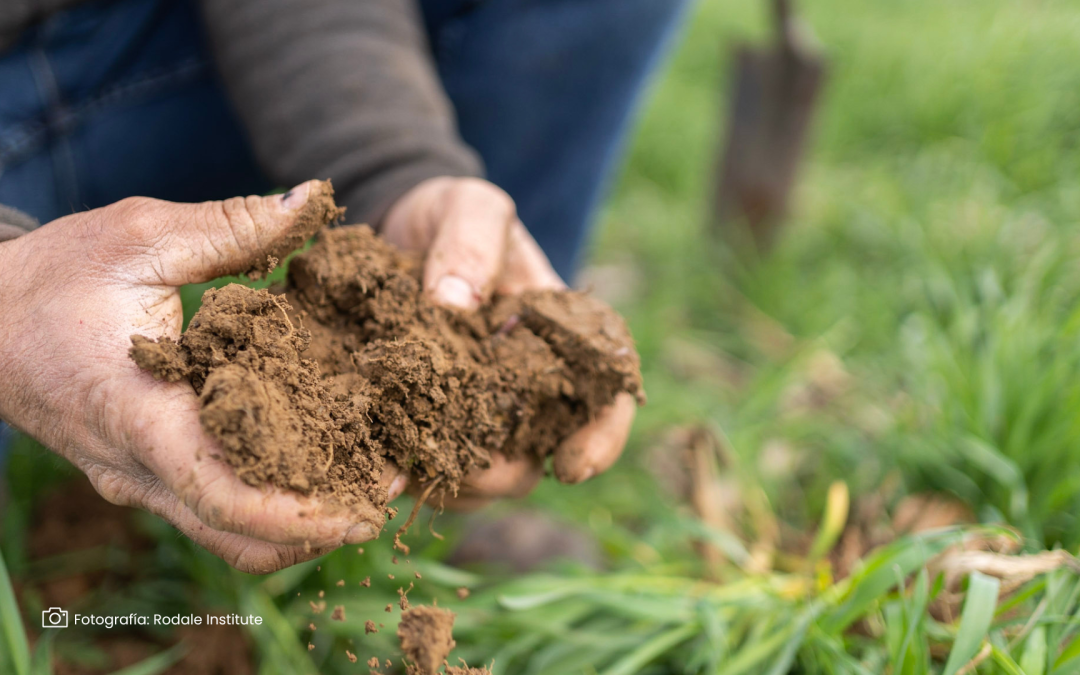 La agricultura regenerativa impulsa la sostenibilidad del campo colombiano