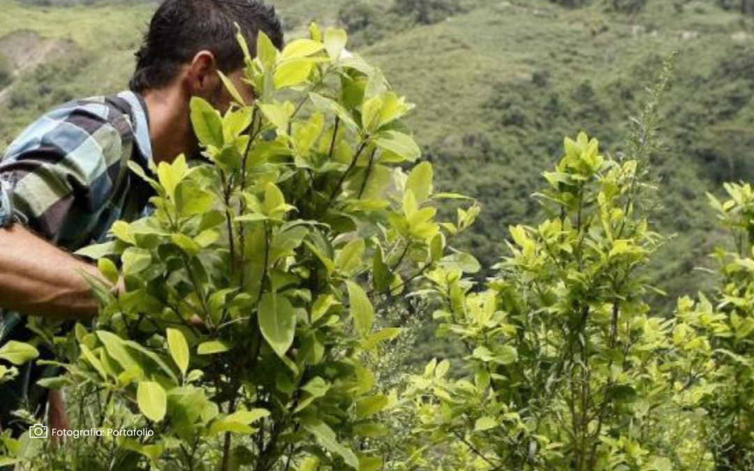 Corteva amplía su apuesta sostenible con el lanzamiento de soluciones biológicas avanzadas