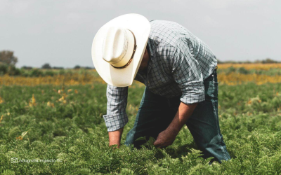 El agro colombiano proyecta crecimiento moderado para 2025