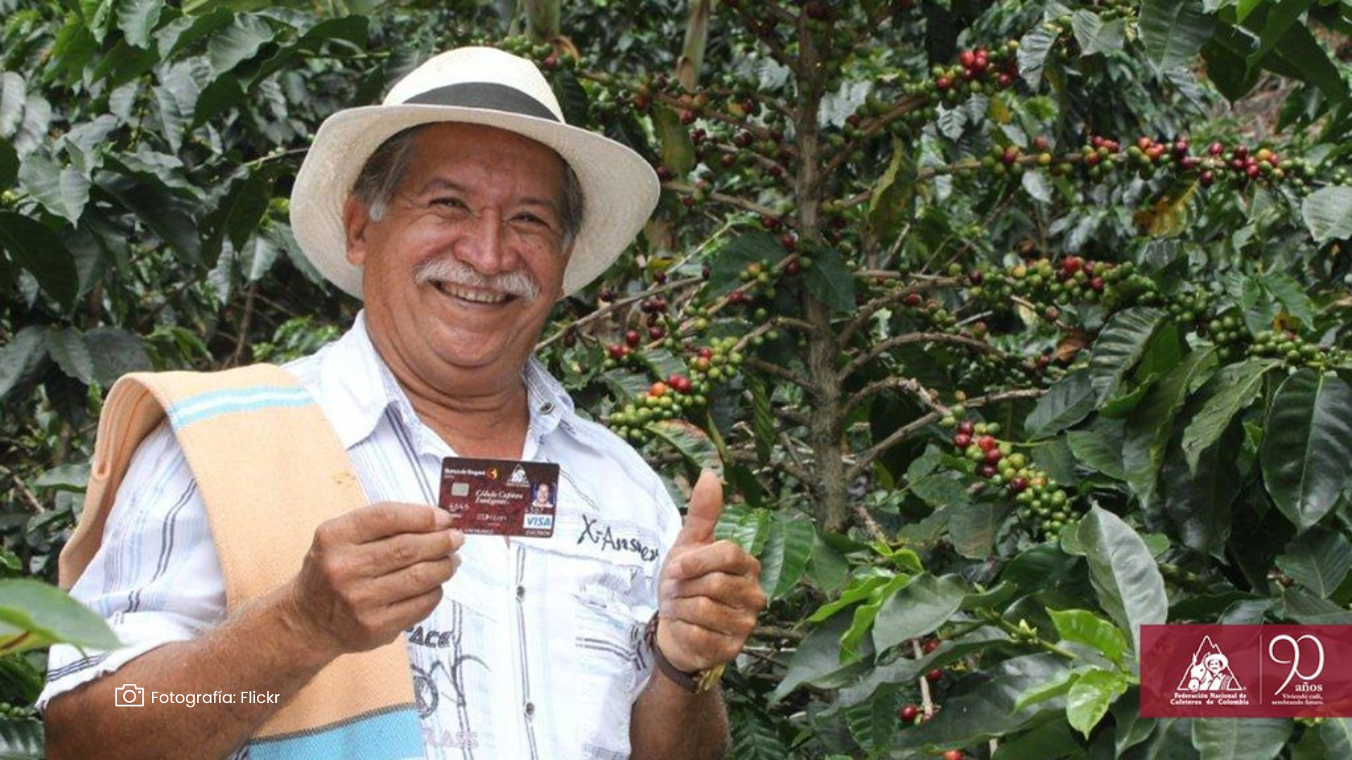 Davivienda y cafeteros