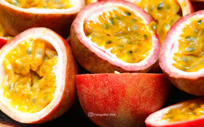 Exportaciones de gulupa impulsan el desarrollo agrícola en Colombia