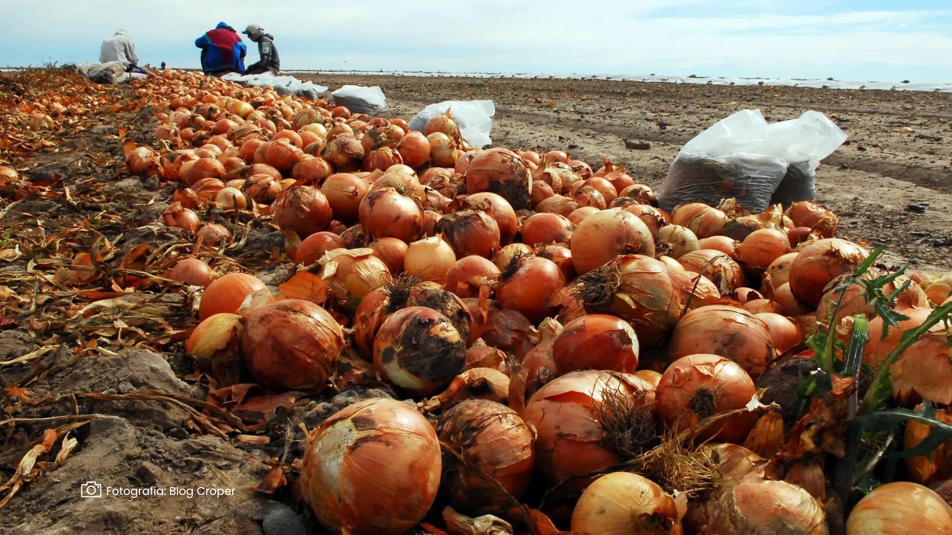 Mercado de la cebolla