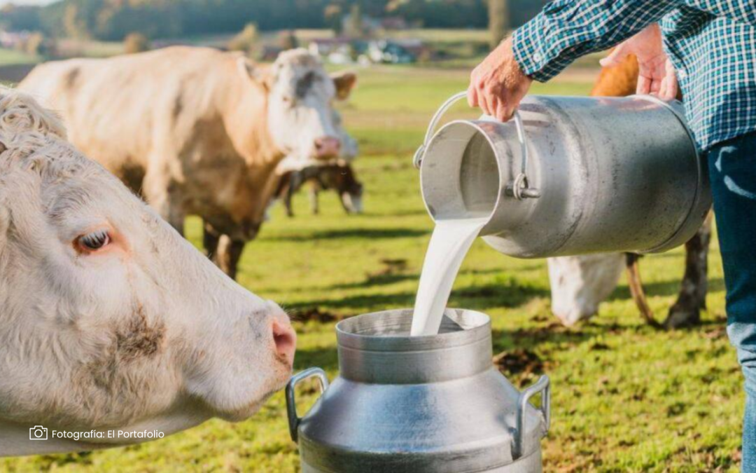 Sector lácteo avanza con compras públicas que priorizan economía campesina