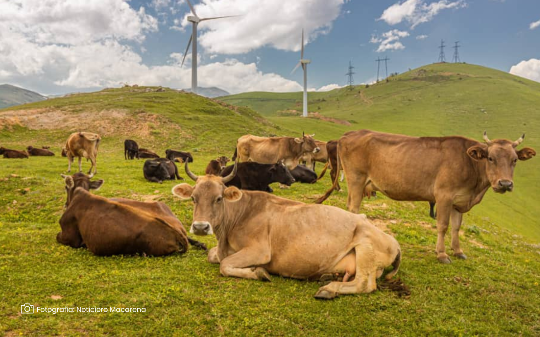 Taller Adopción de Prácticas Sostenibles en Ganadería de Carne en la Orinoquía