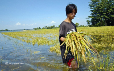 Fenómeno de La Niña se prolonga y desafía al sector agropecuario colombiano