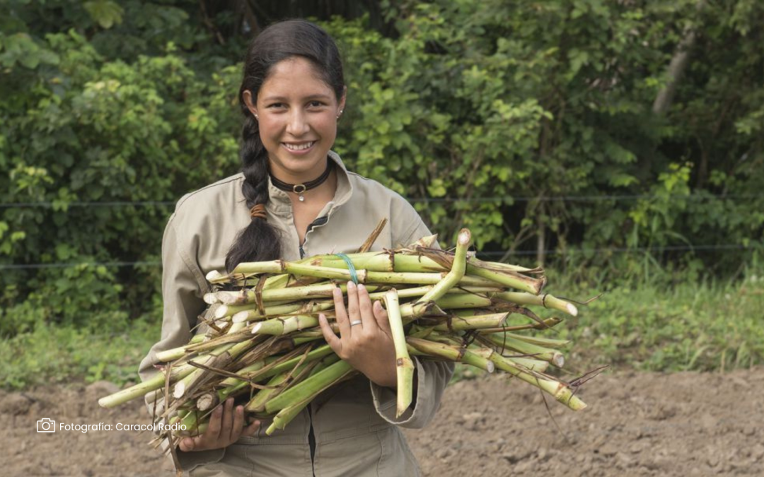 Participación femenina en el agro, una oportunidad estratégica para el desarrollo rural