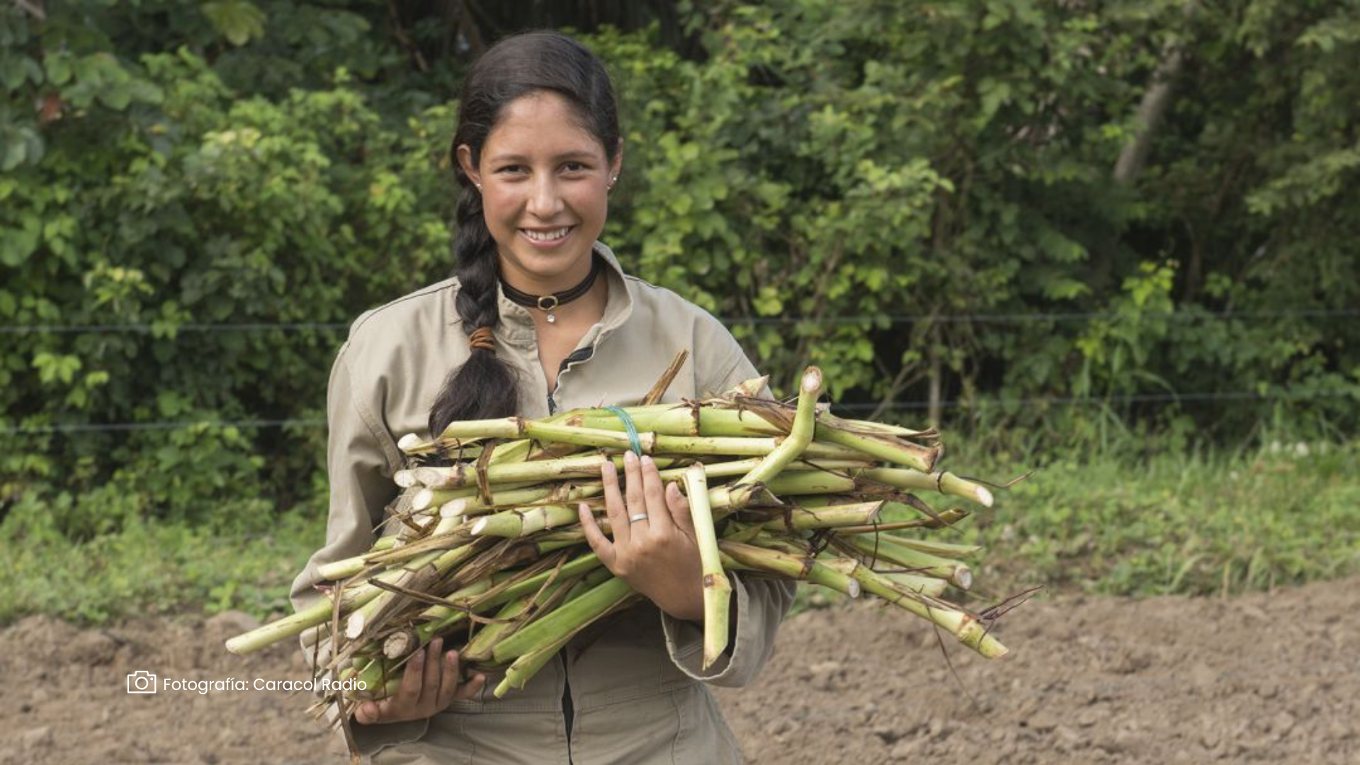 Mujeres en el agro