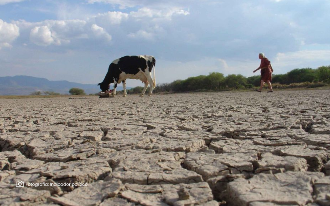 Plan del Ministerio de Ambiente para enfrentar los cambios climáticos en Colombia