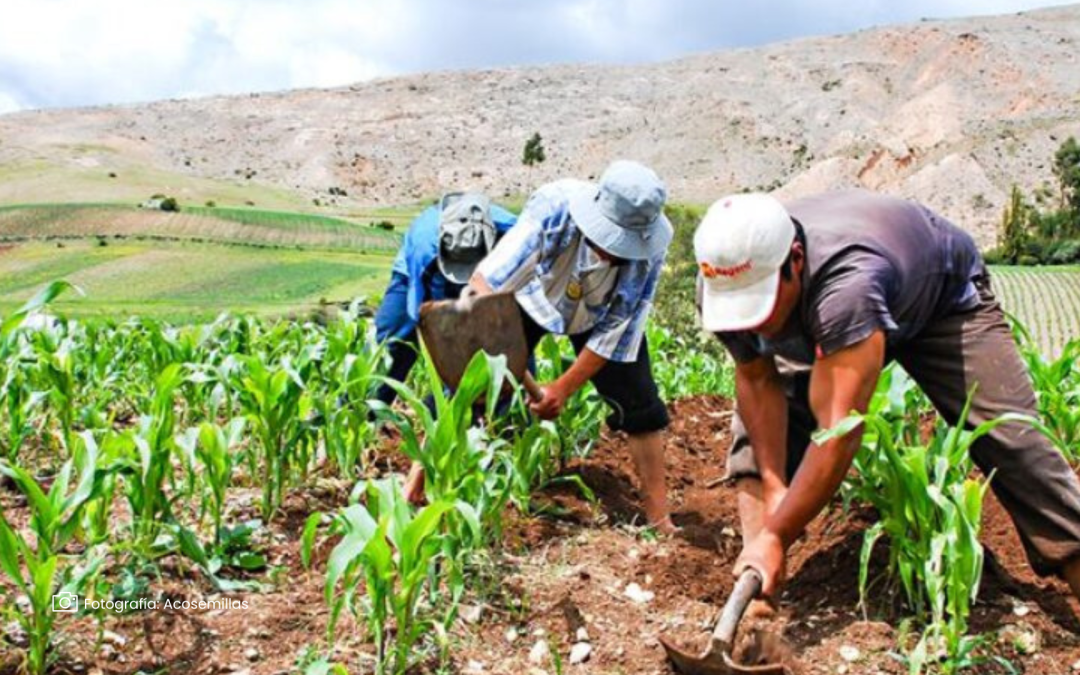 Sector agropecuario sorprende con crecimiento sostenido durante 2024