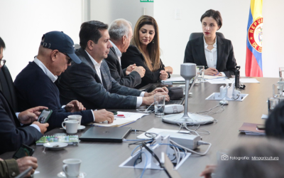 Lanzan hoja de ruta para mejorar la cadena productiva del arroz en el país