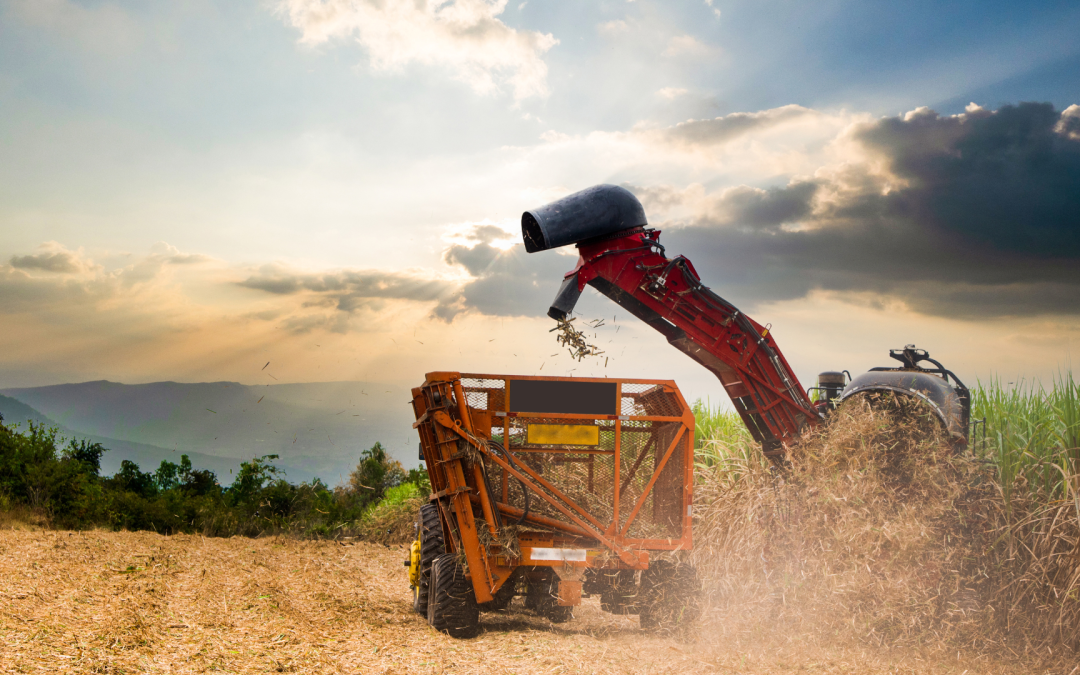 SAC alerta sobre consecuencias irreparables en el agro por modificaciones en tratados con EE. UU.