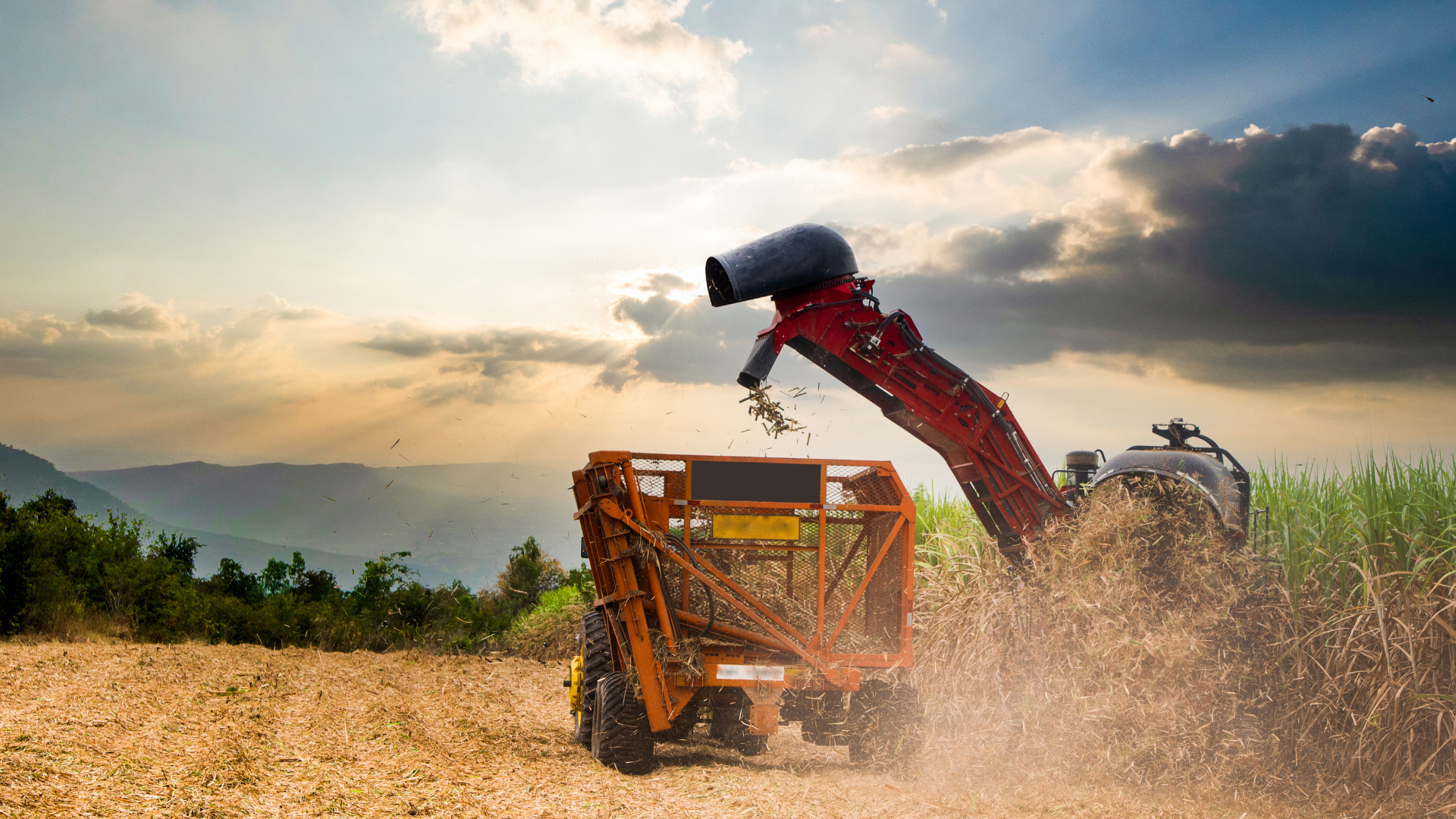 Consecuencias en el agro
