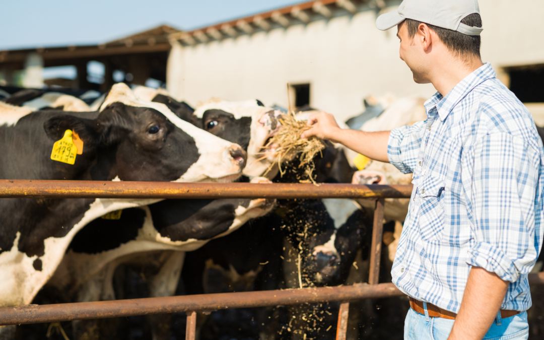 Agrosavia organiza taller sobre buenas prácticas en bienestar animal