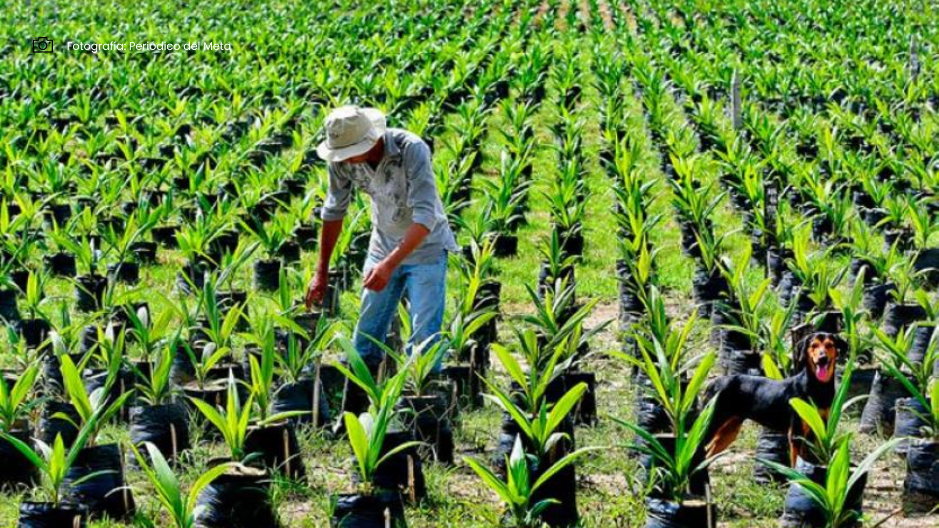 Imágenes página web