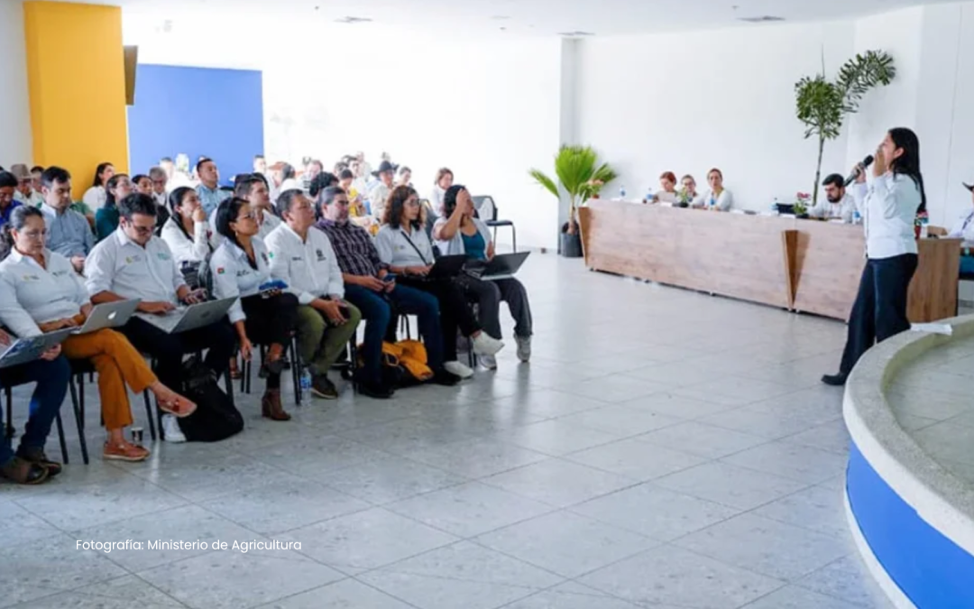 MinAgricultura y arroceros se reúnen para impulsar políticas de sostenibilidad y crecimiento