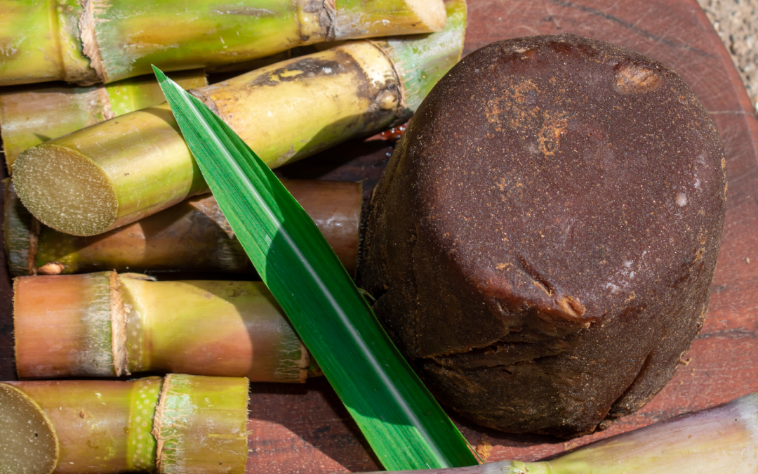 Agrosavia organiza webinar sobre manejo de caña de azúcar para panela