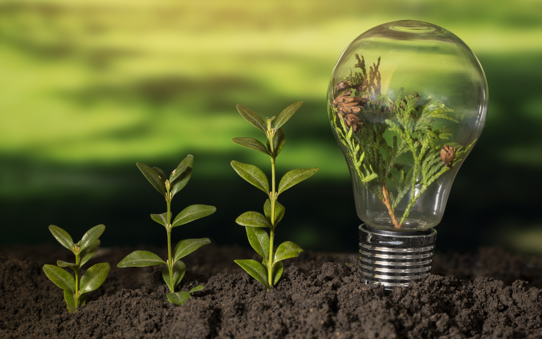 Conferencia: Bioenergía en acción, microrredes y biomasa para la sostenibilidad energética de Colombia