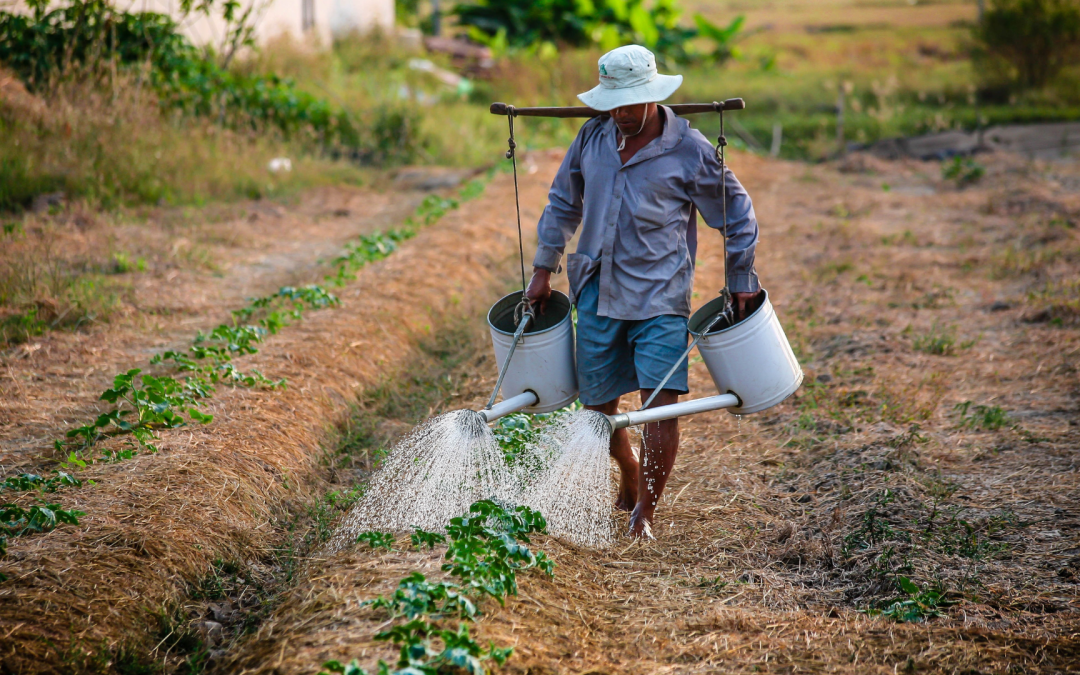 Campesinos pueden acceder a créditos con descuento para inversión en riego