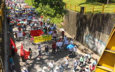 Arroceros colombianos denuncian incumplimiento de acuerdos por parte del Gobierno