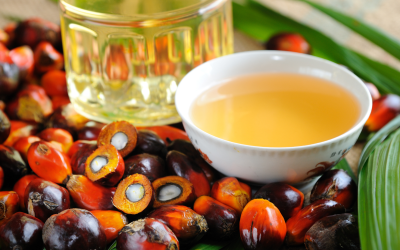 Fedepalma renueva su campaña para promover el aceite de palma colombiano