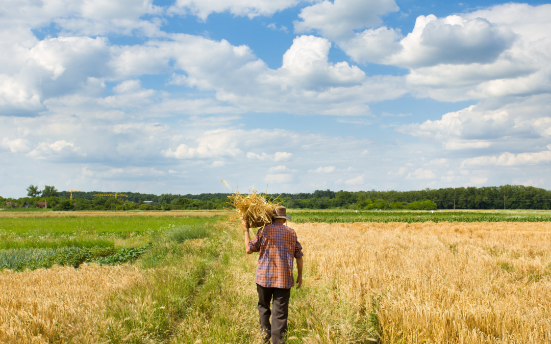 El ICA anuncia aumento en las tarifas de sus servicios agropecuarios