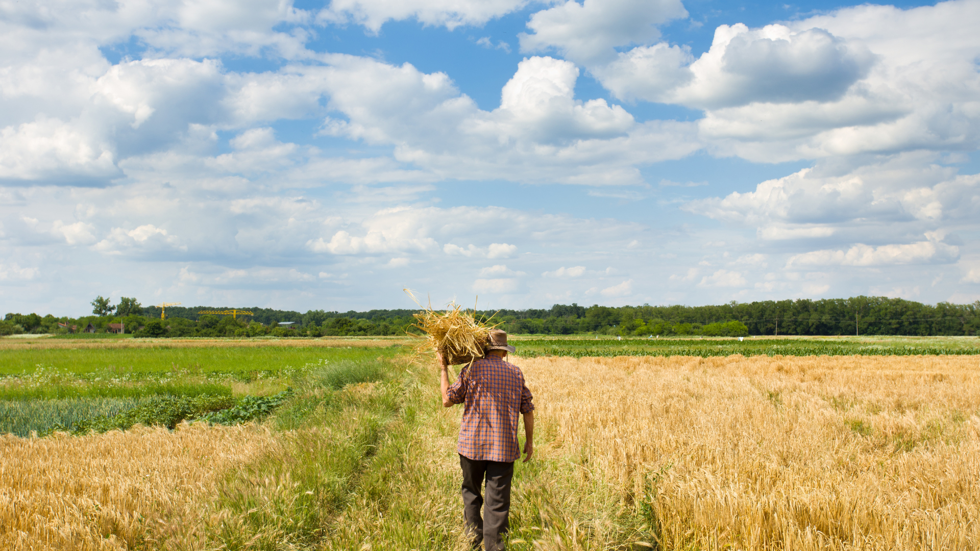 suben los precios del ICA