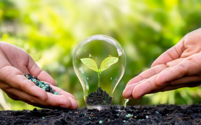 Conferencia: La bioenergía como pilar de la transición hacia la sostenibilidad
