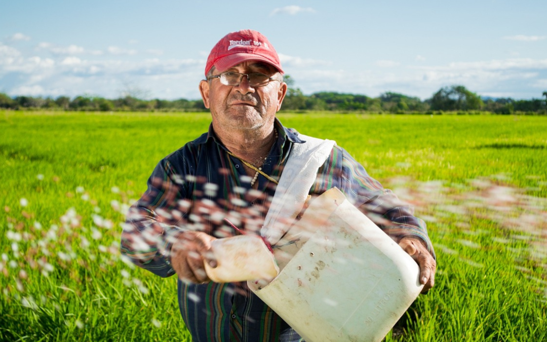 El agro colombiano enfrenta desafíos por el envejecimiento de la población rural