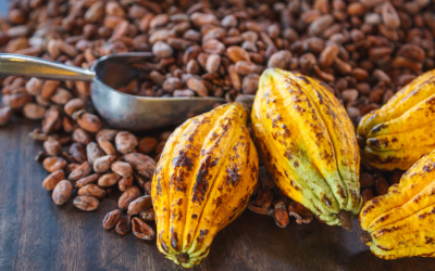 Gobierno colombiano promueve café y cacao en Europa para fortalecer exportaciones