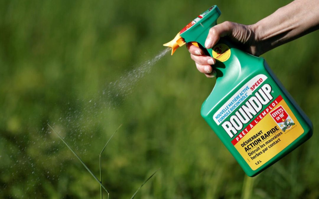 Bayer advierte posible retiro de Roundup ante crecientes litigios por glifosato
