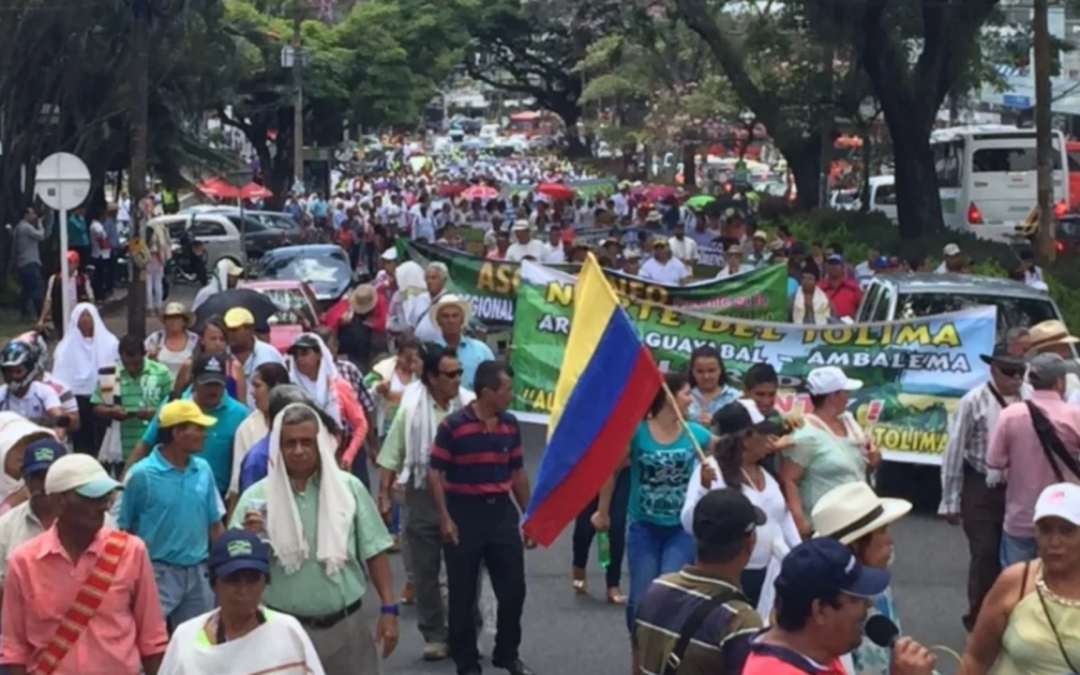 Productores arroceros exigen cumplimiento de acuerdos tras paro nacional