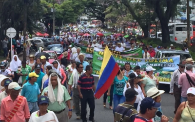 Productores arroceros exigen cumplimiento de acuerdos tras paro nacional