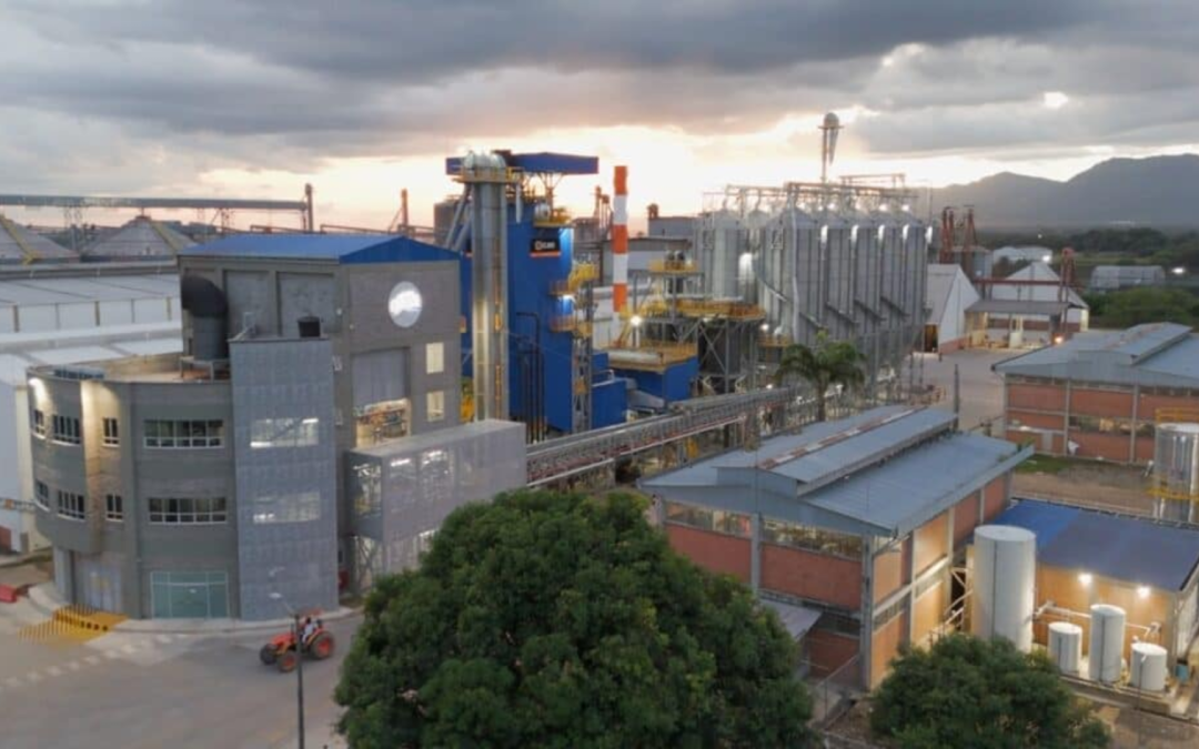 Primera planta termoeléctrica de Colombia funcionará con cascarilla de arroz