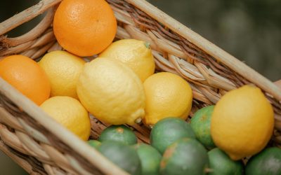 Seminario en línea abordará buenas prácticas para material de siembra certificado de cítricos