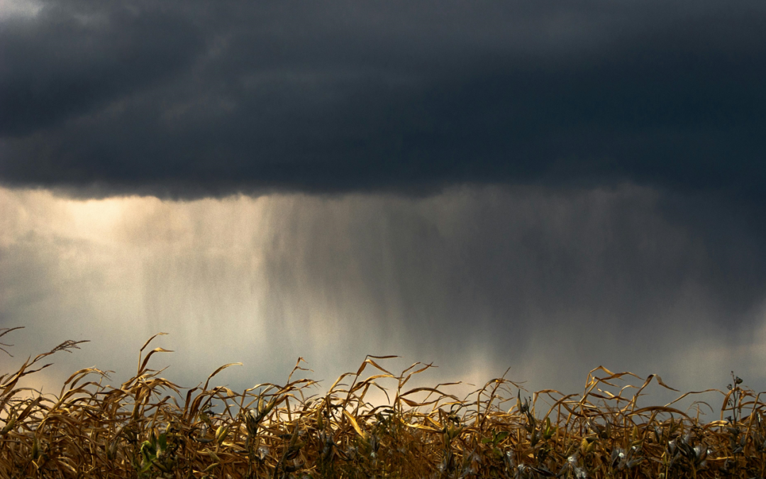 Recomendaciones clave para proteger el agro colombiano de las lluvias intensas en 2025