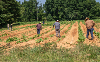 Hoy vence el plazo para inscribirse en la convocatoria oficial para productores rurales