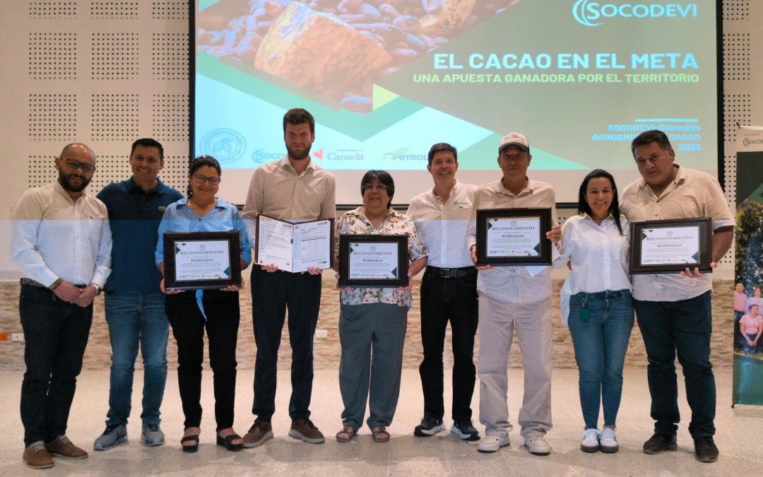 Cacaocultores del Meta obtienen certificación orgánica para exportación y mercados especializados