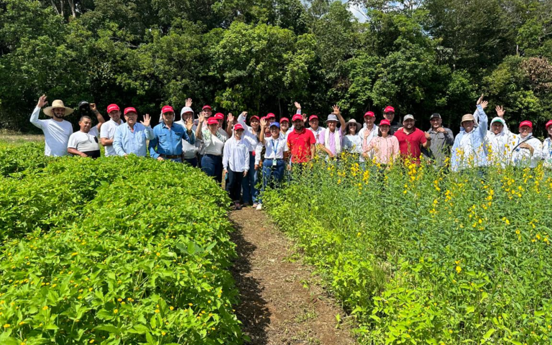 Capacitación presencial: Socialización de experiencias sobre la gestión del suelo y establecimiento de cultivos transitorios