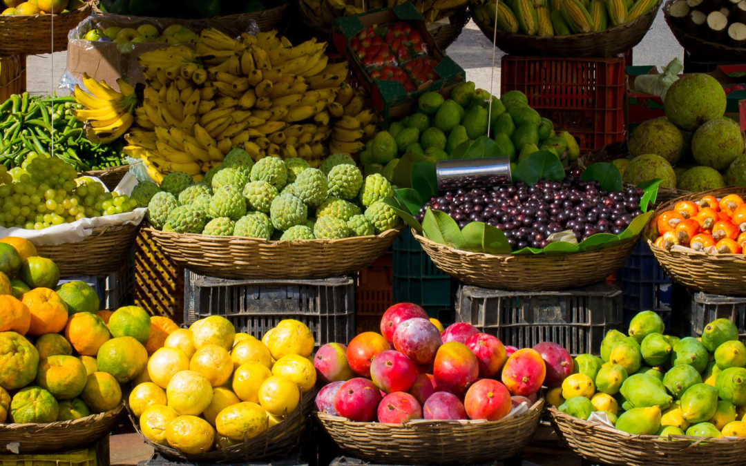 Exportaciones de frutas colombianas crecen 35 % y abren paso a nuevos mercados internacionales