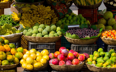 Exportaciones de frutas colombianas crecen 35 % y abren paso a nuevos mercados internacionales
