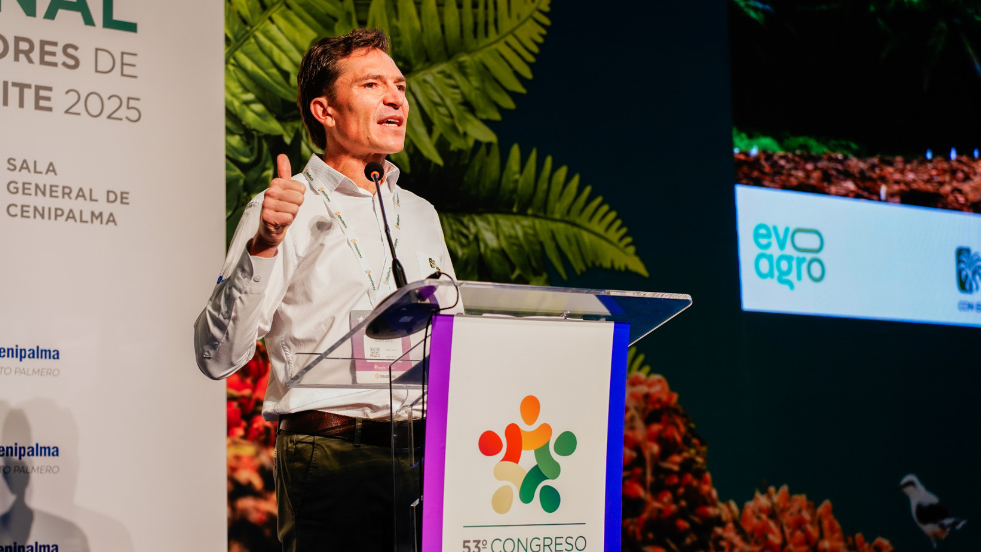 Imágenes página web (12)