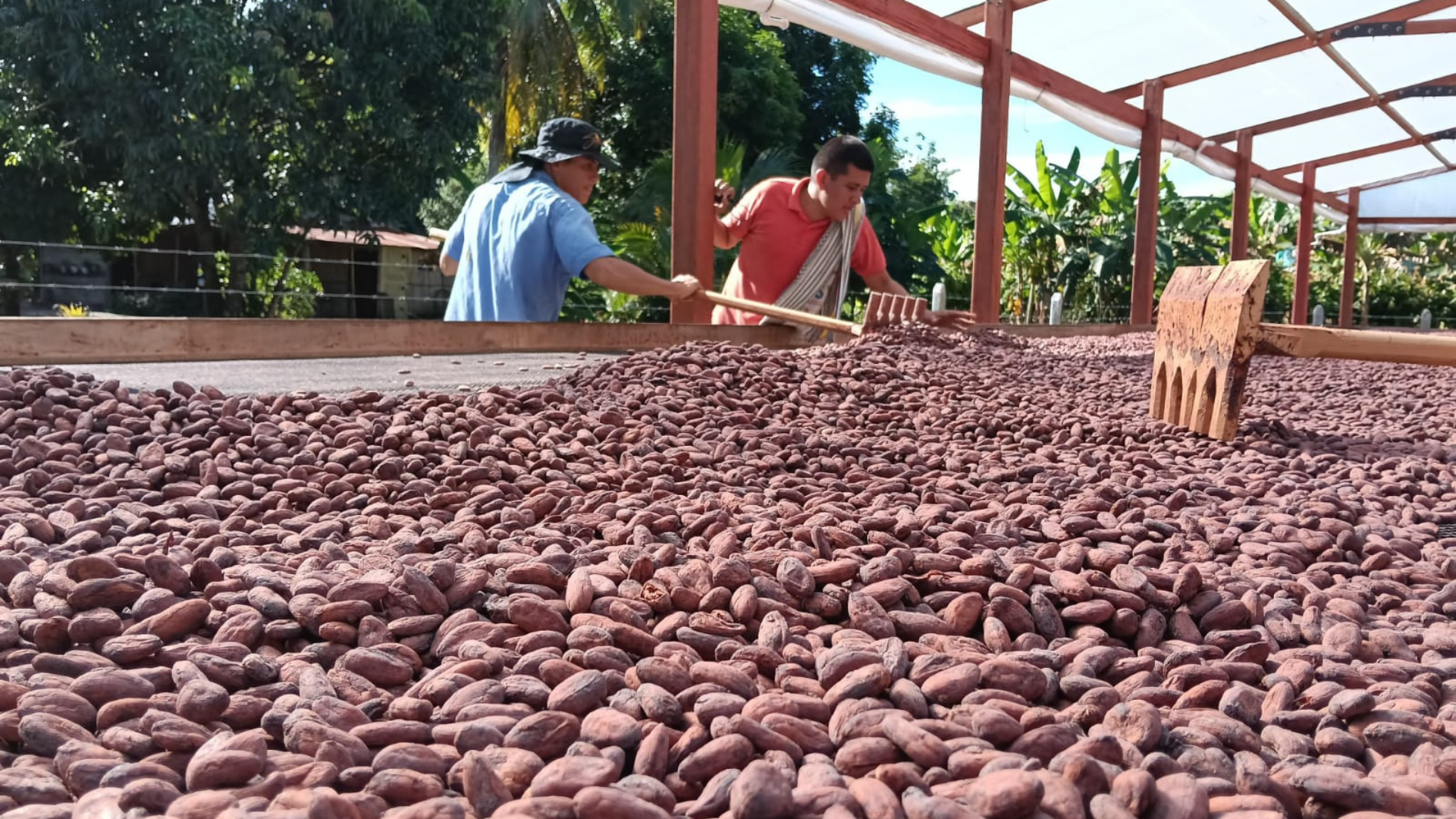 Imágenes página web (16)