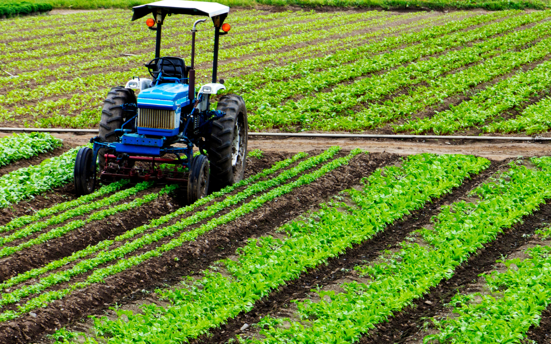 Colombia se posiciona como actor estratégico en la transformación sostenible del agro global