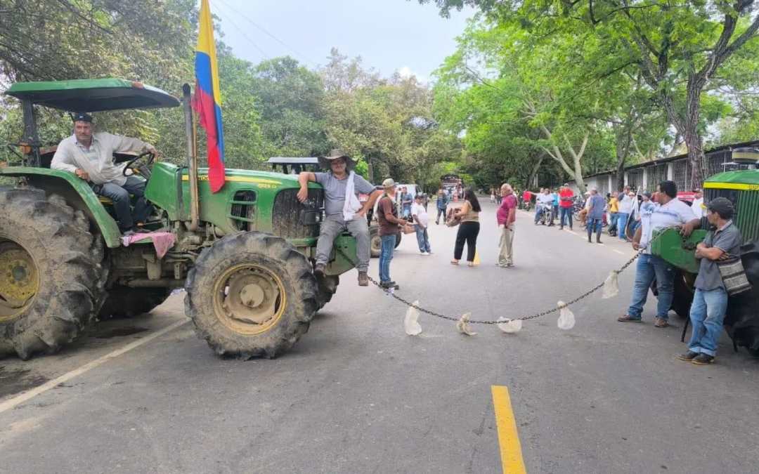 Arroceros inician paro nacional indefinido en Colombia exigiendo soluciones estructurales y precios justos
