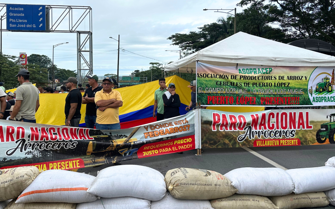 Arroceros insisten en mantener el paro hasta reunirse con Minagricultura ante crisis por caída de precios