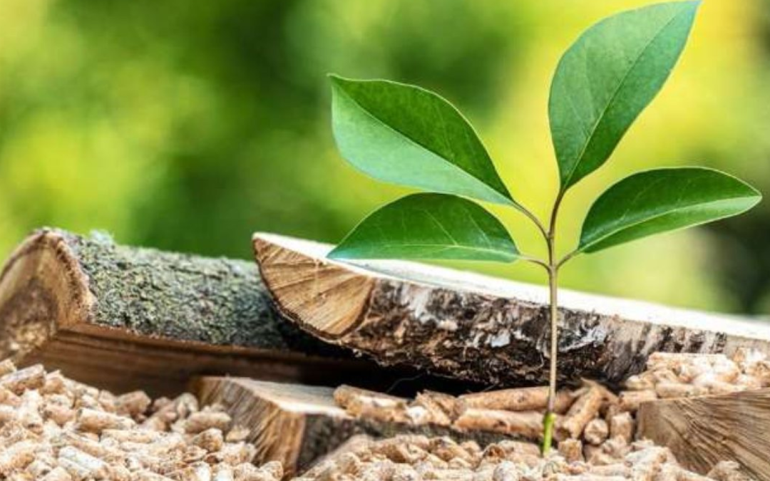 Fontagro e IICA lanzan concurso de agrobioemprendimiento con premios de hasta USD 15.000