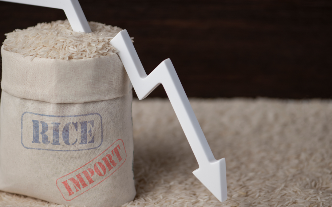 Fedearroz denuncia crisis de precios en el arroz y advierte riesgos para el abastecimiento nacional