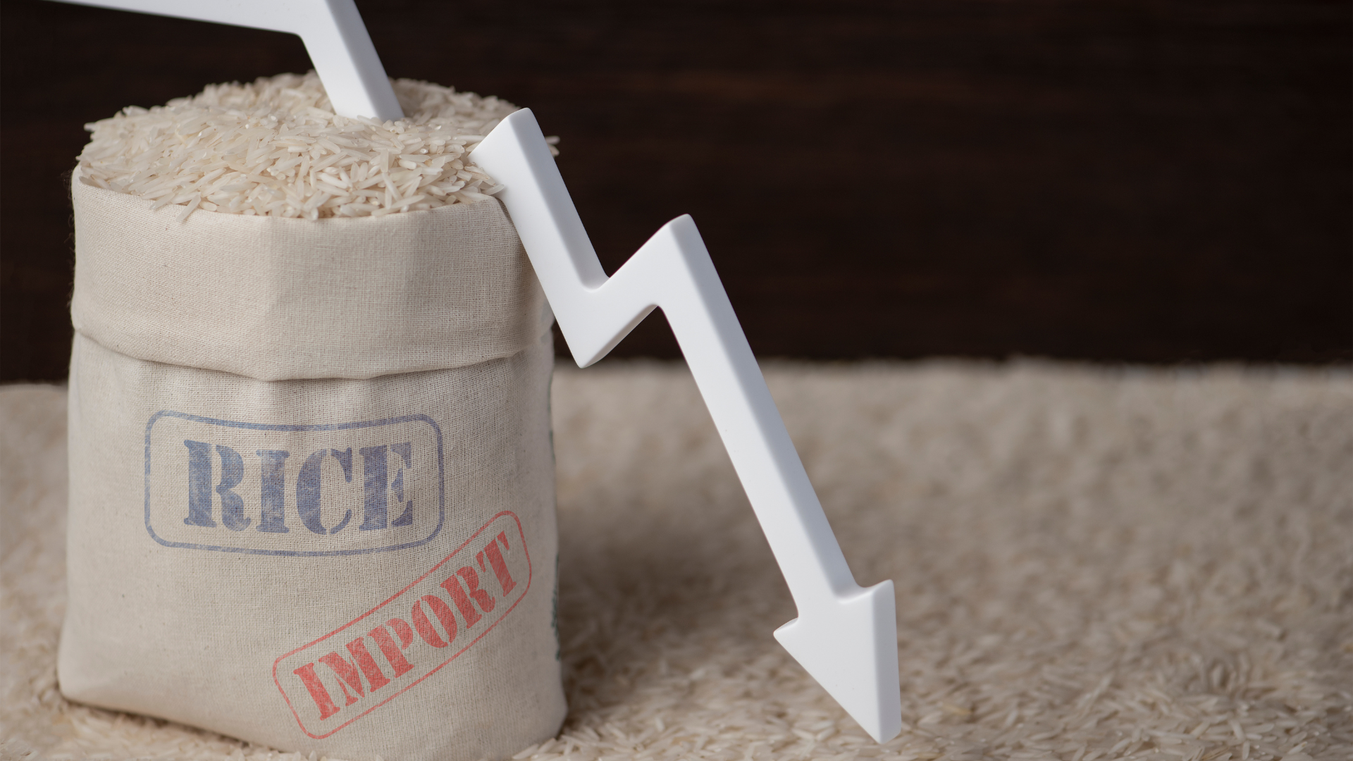 Imágenes página web (2)