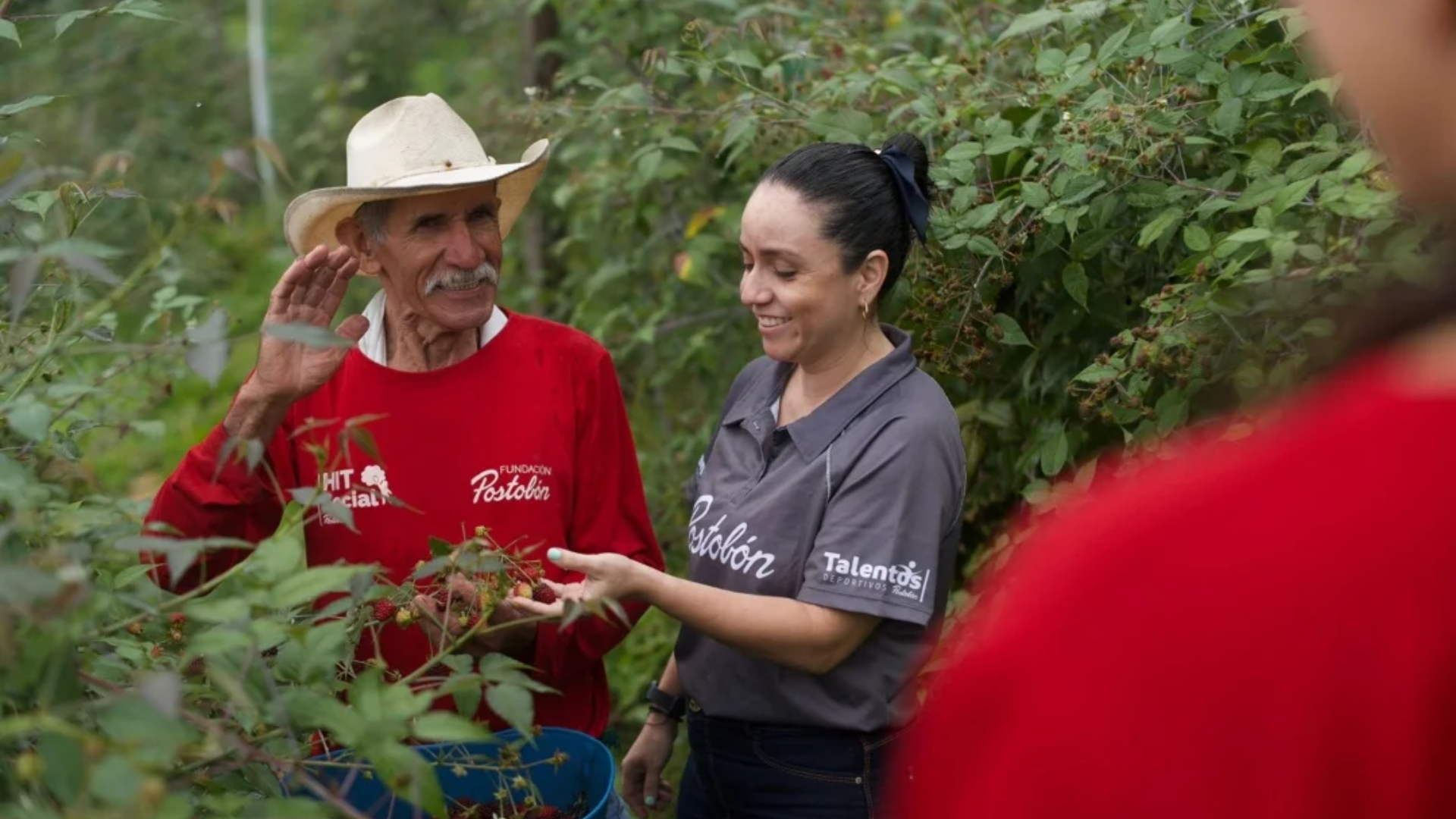 Imágenes página web (3)