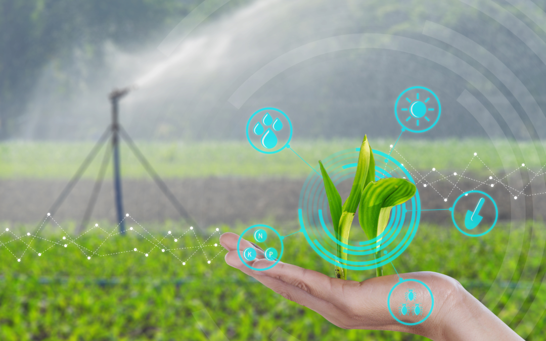 La agricultura regenerativa avanza como estrategia clave frente a la crisis climática